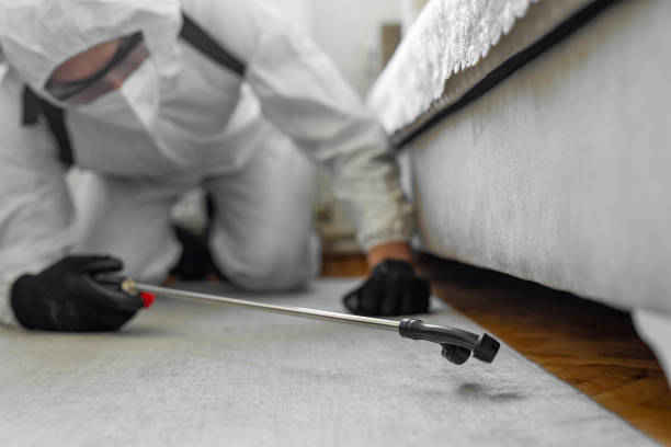 Professional Ant Control technician working in Garden City, GA