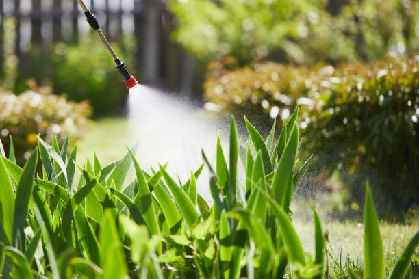 24/7 Emergency Wasp Removal experts in Garden City, GA